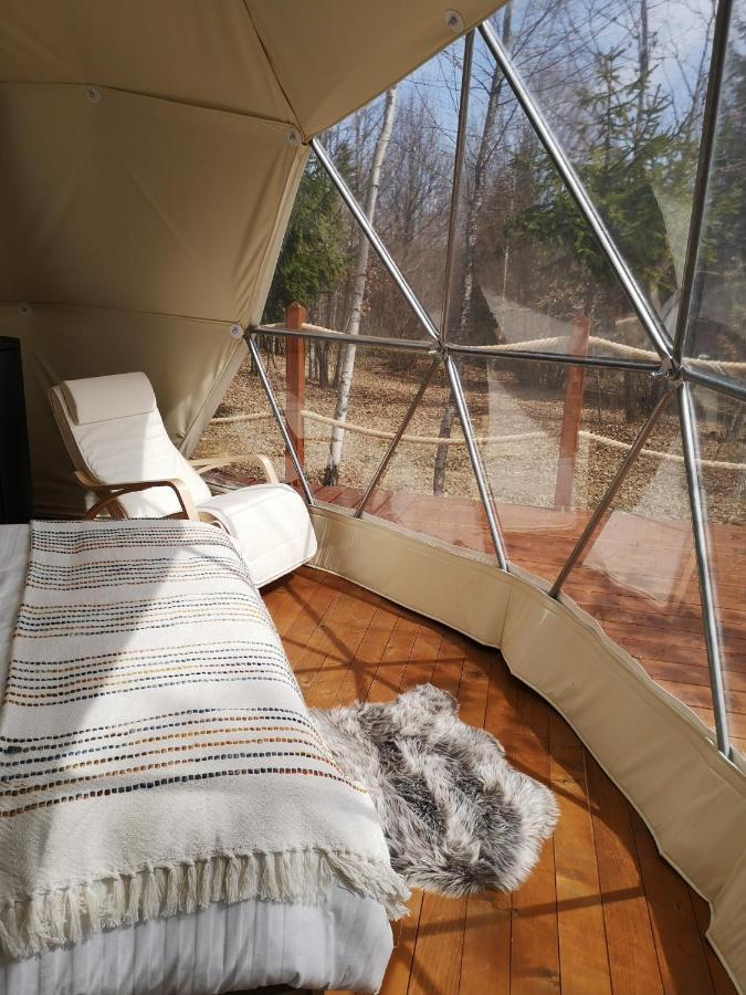 Отель Medve Dome - Luxury Camping In The Middle Of Nature Влэхица Экстерьер фото